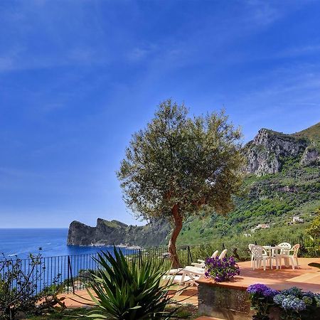 Apartmán Casa Miomar Massa Lubrense Pokoj fotografie